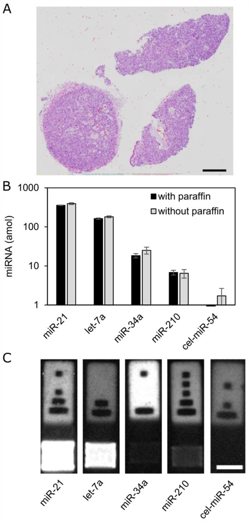 Figure 3: