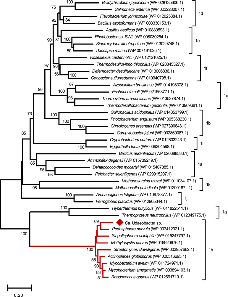 FIG 6