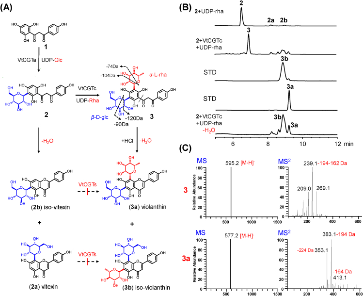 Figure 1