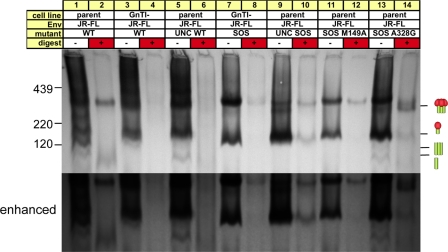 Fig. 12.