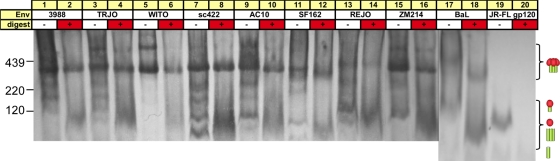 Fig. 13.