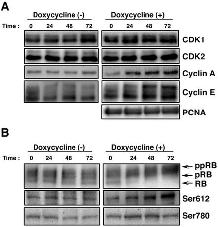 FIG. 7.