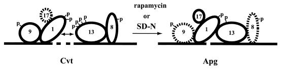 FIG. 6