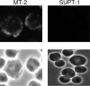 FIG. 8.