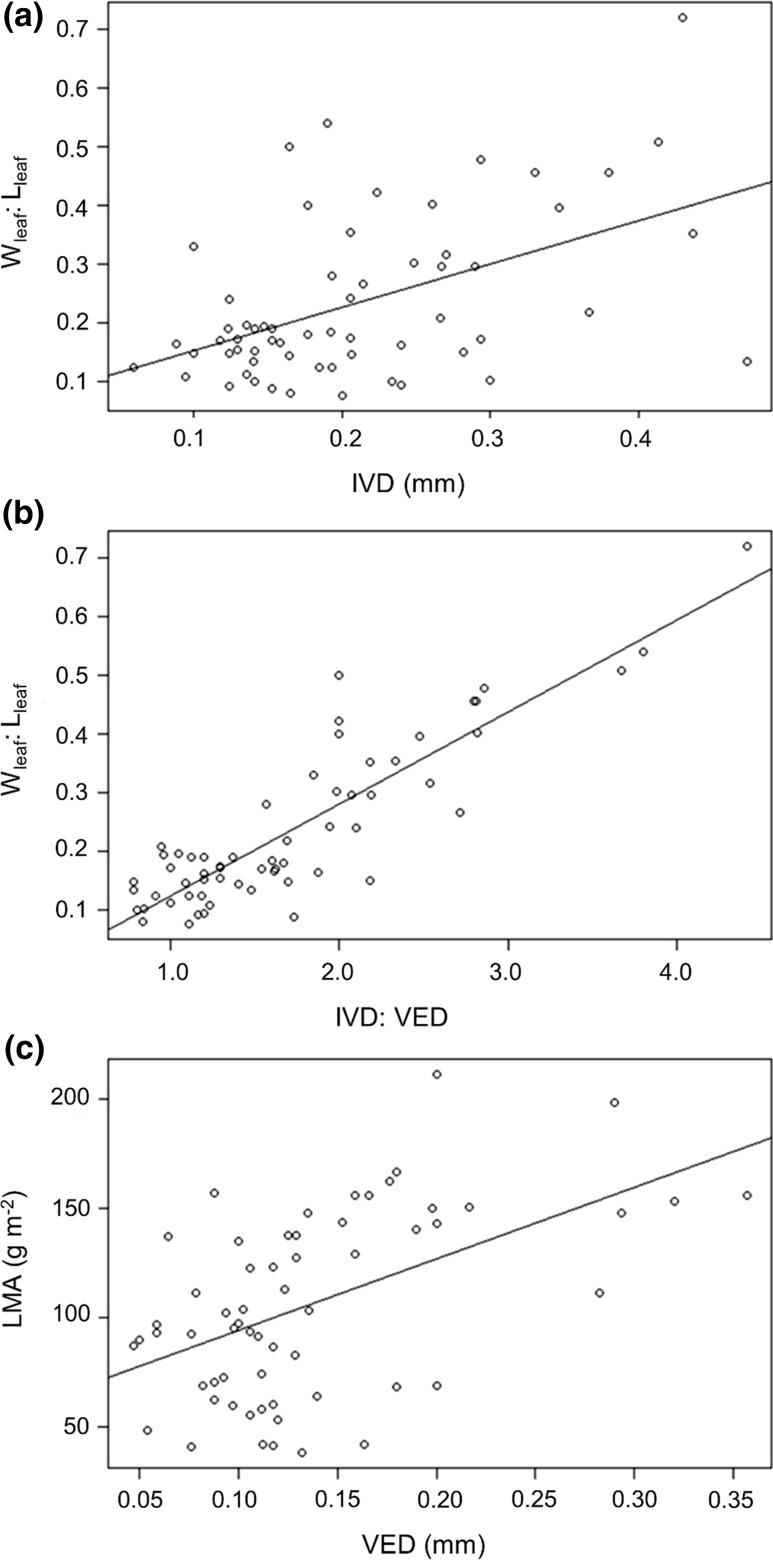 Fig. 4