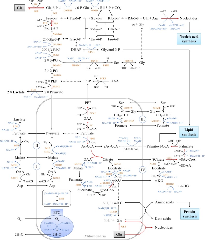 Figure S1.