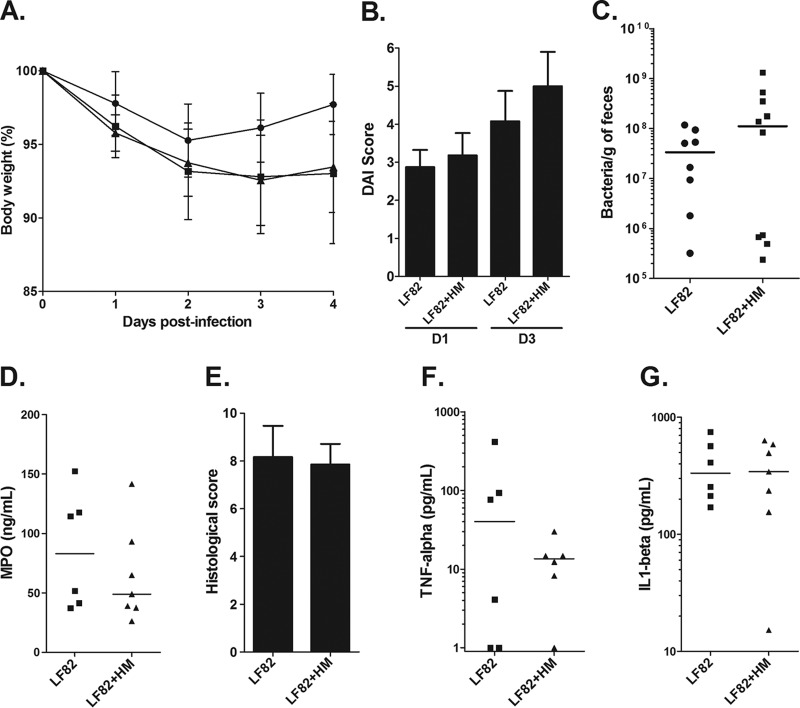 FIG 2 