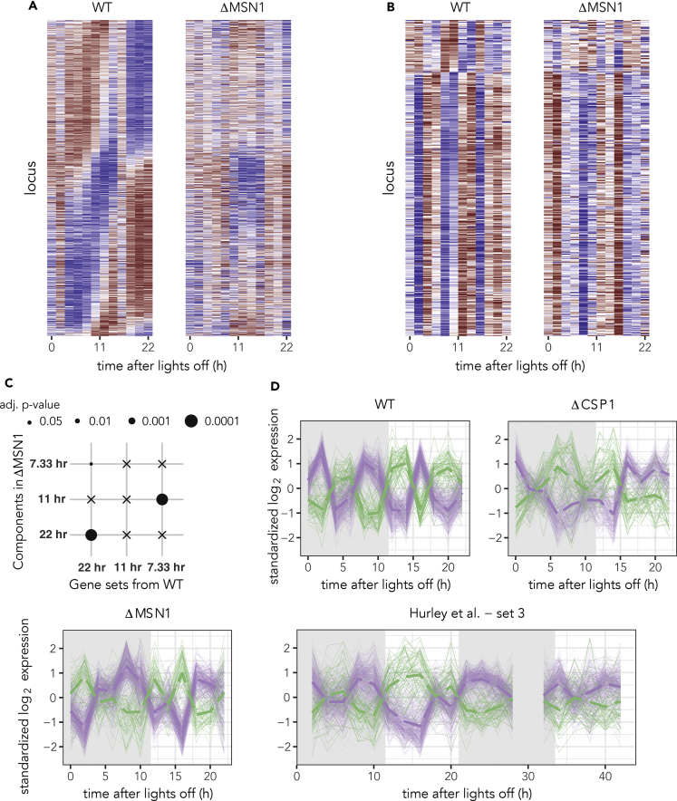 Figure 4