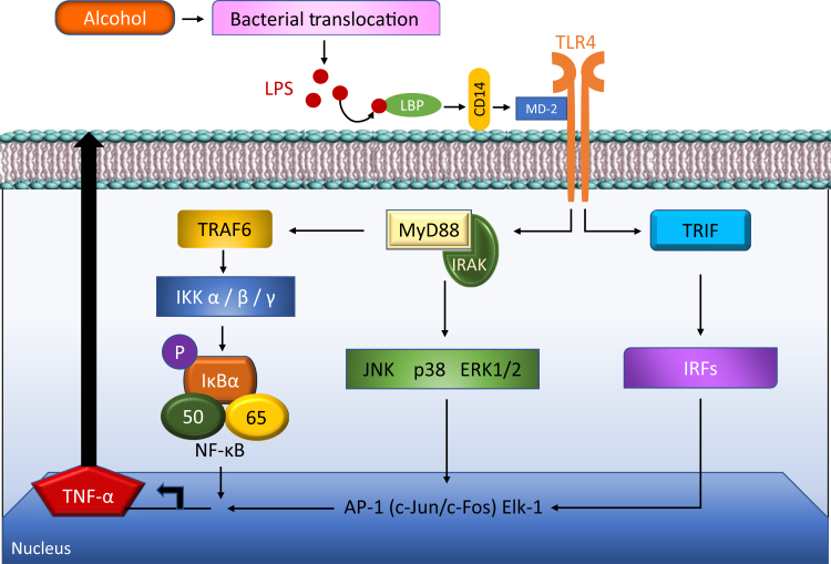 Figure 3