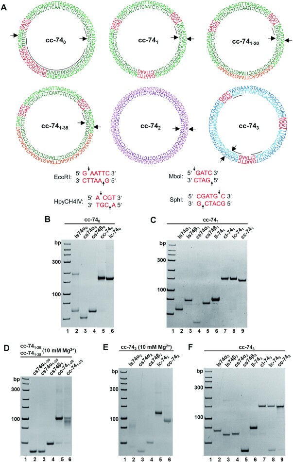 Figure 2.