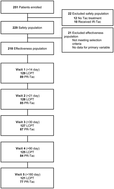 FIGURE 1