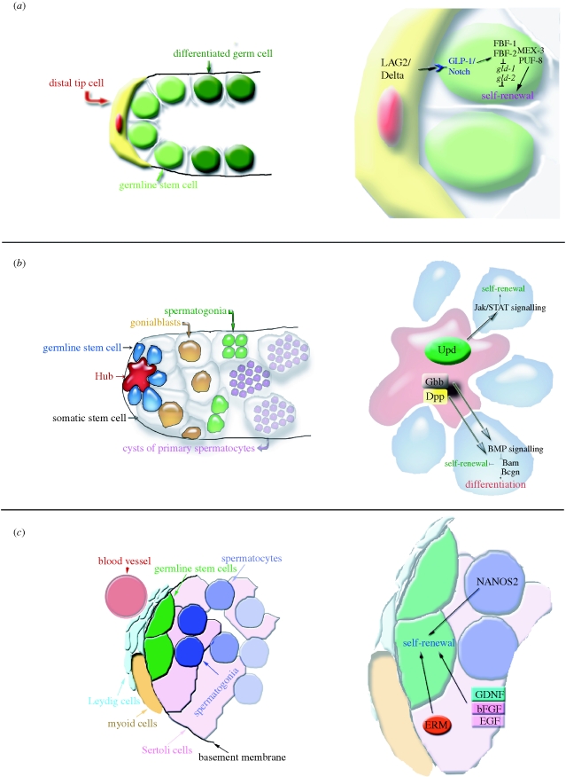 Figure 1.