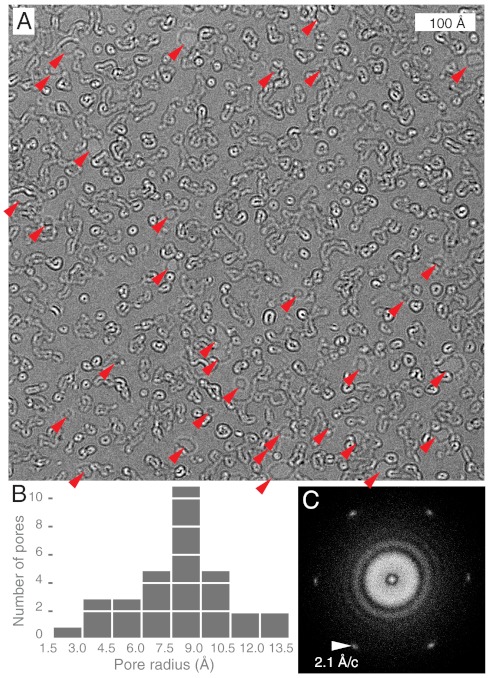 Fig. 4.