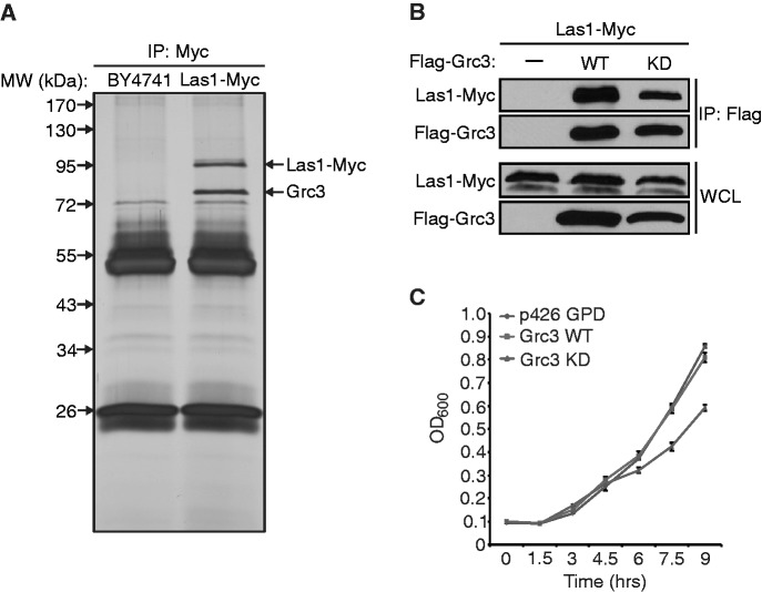 Figure 5.