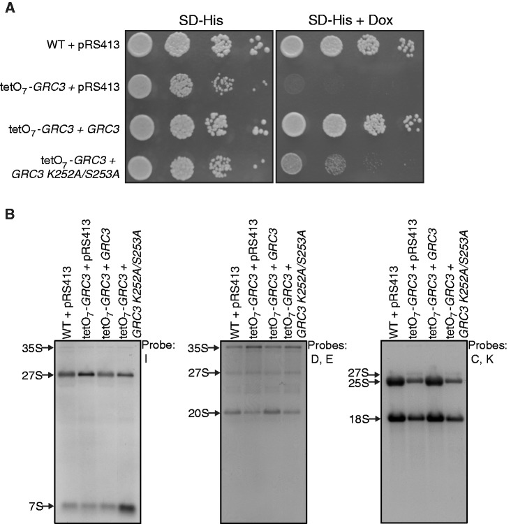 Figure 7.