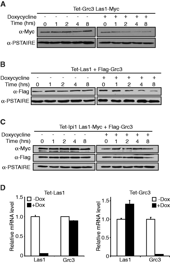 Figure 6.