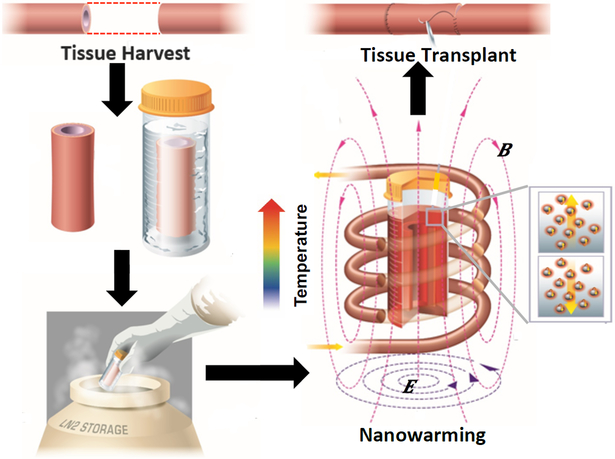 Figure 3.