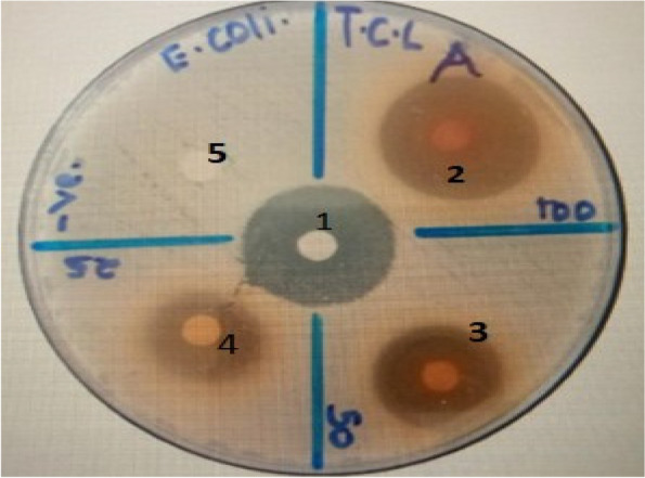 Fig. 2