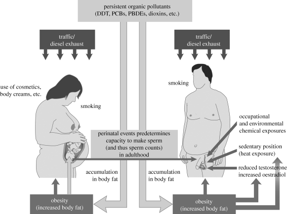 Figure 2.