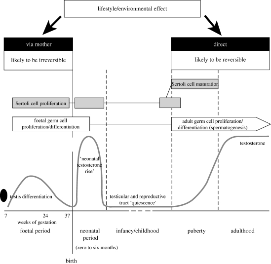 Figure 1.