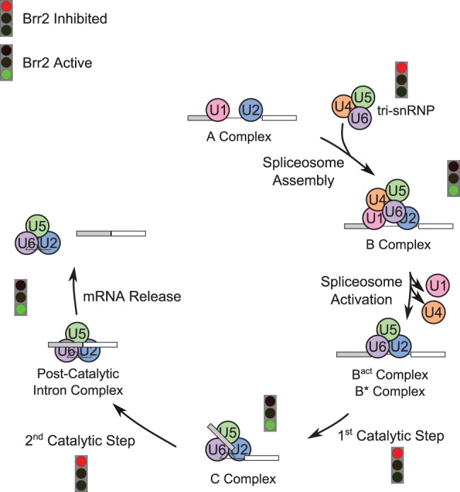 FIGURE 7.