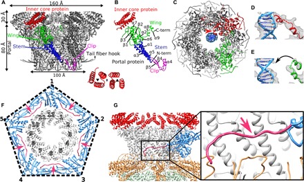 Fig. 3