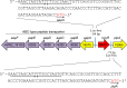 Fig 12