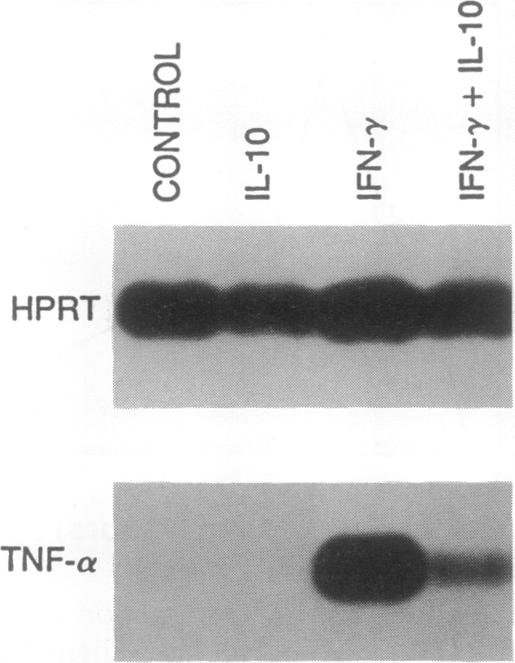 graphic file with name pnas01092-0279-a.jpg