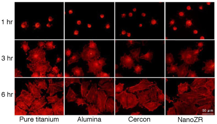 Figure 23
