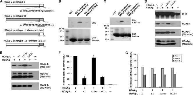 FIG. 8.