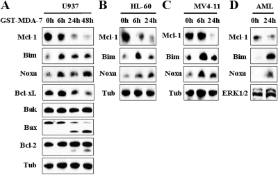 Fig. 8.