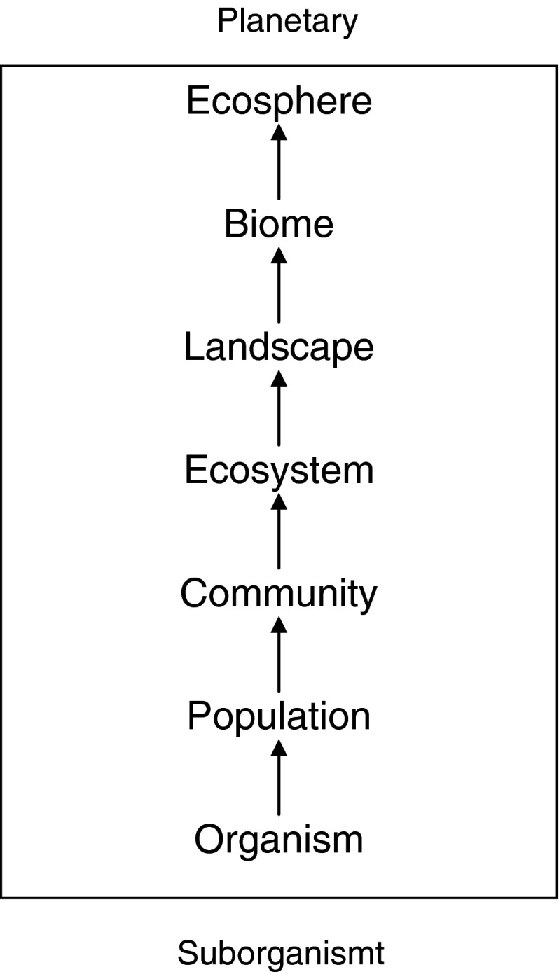 Fig. 1