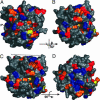 Fig. 3.