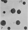 476-1