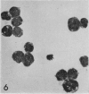 476-1