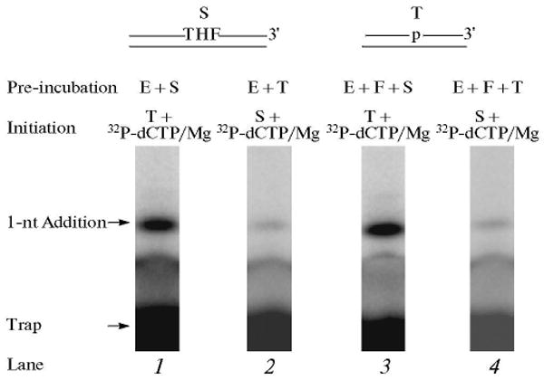 Fig. 12