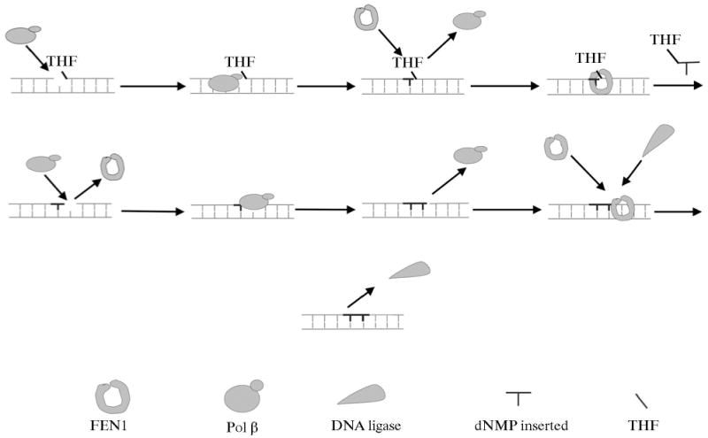 Scheme 3