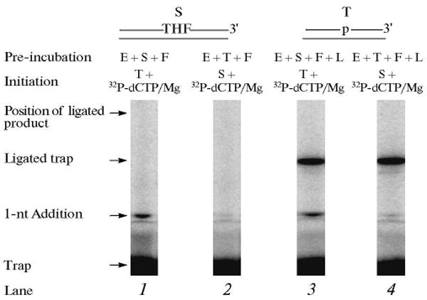 Fig. 13