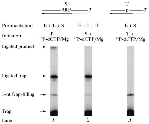 Fig. 11