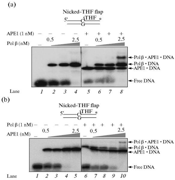 Fig. 9