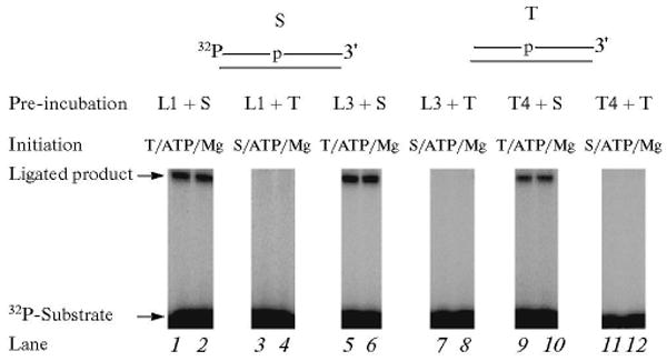 Fig. 10