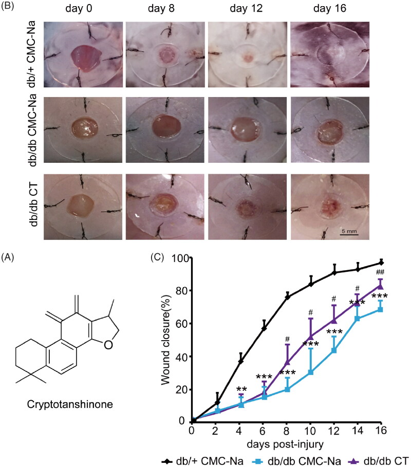 Figure 1.