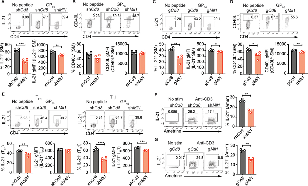 Figure 4: