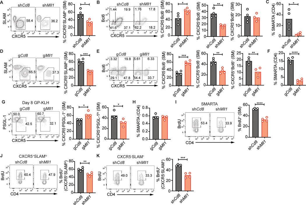 Figure 3: