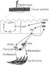Figure 7