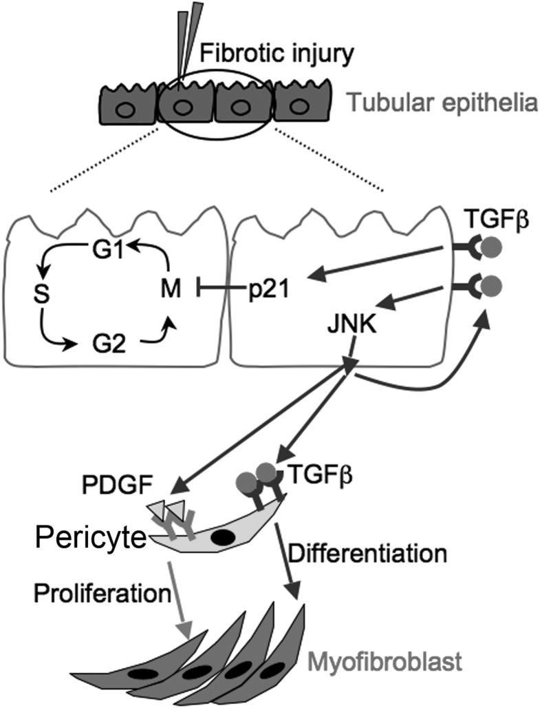 Figure 7