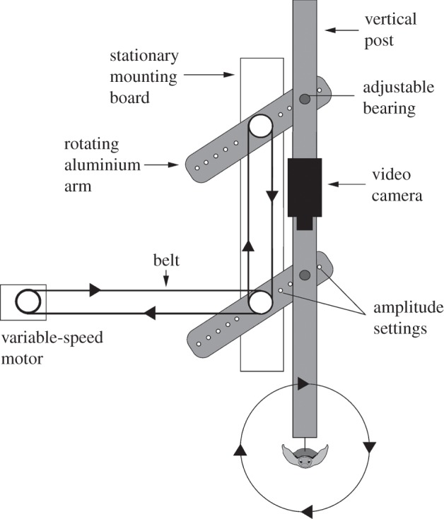 Figure 3.