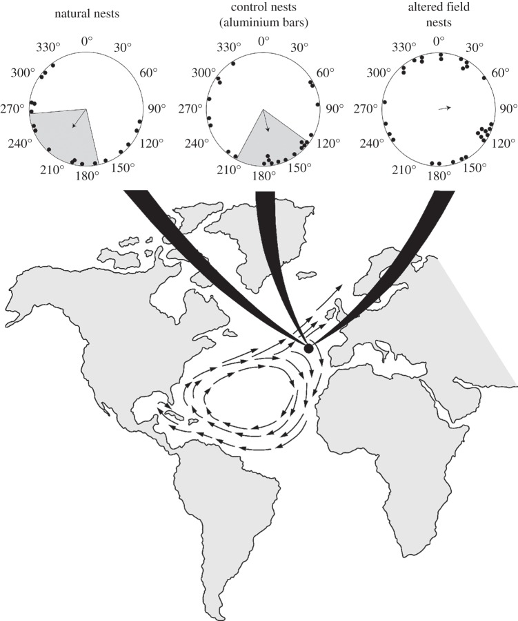 Figure 4.