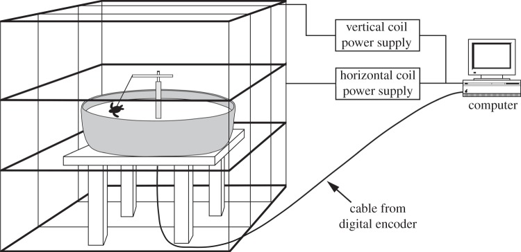 Figure 2.