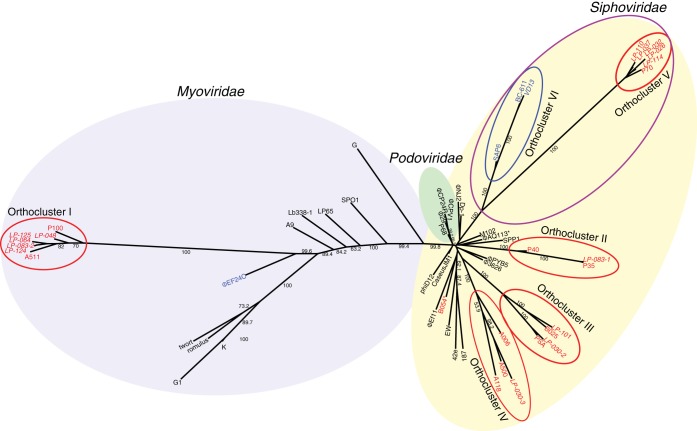 FIG 1